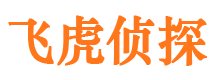 烈山侦探公司